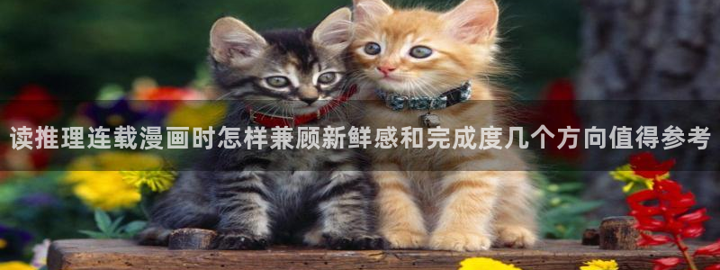 漫画免费看app:读推理连载漫画时怎样兼顾新鲜感和完成度几个方向值得参考
